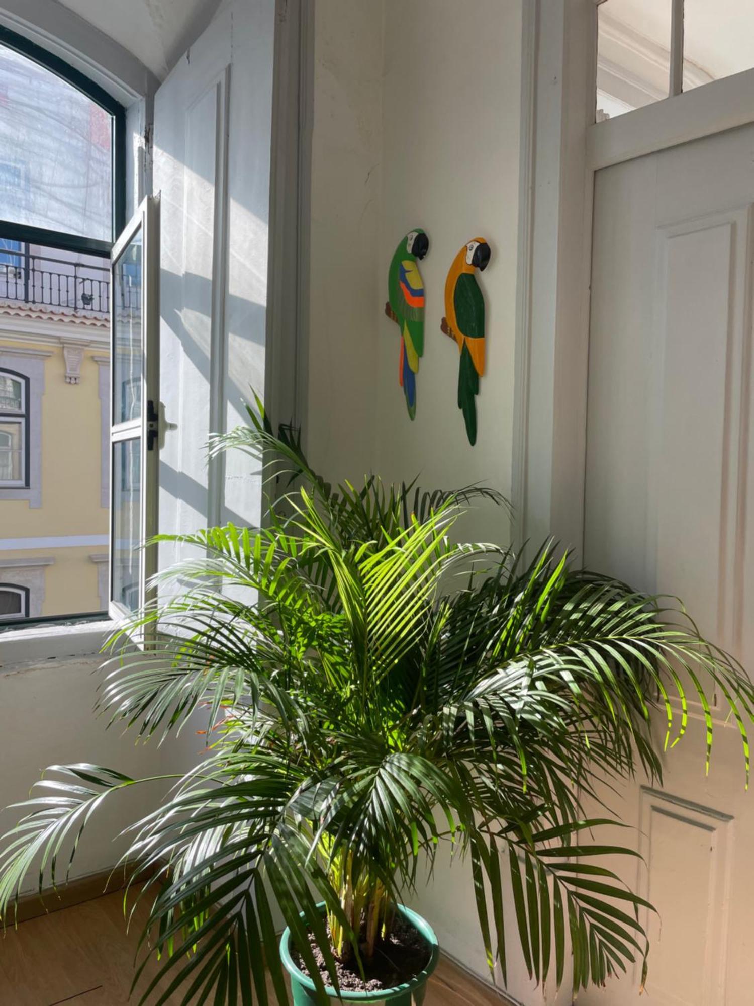 Chiado Home Лиссабон Экстерьер фото